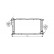 Radiateur, refroidissement du moteur 06002234 International Radiators