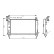 Radiateur, refroidissement du moteur 07002050 International Radiators