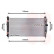 Radiateur, refroidissement du moteur 07002054 International Radiators, Vignette 2