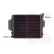 Radiateur, refroidissement du moteur 11002022 International Radiators, Vignette 2