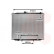 Radiateur, refroidissement du moteur 13002262 International Radiators, Vignette 2