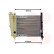 Radiateur, refroidissement du moteur 17002076 International Radiators