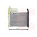 Radiateur, refroidissement du moteur 17002100 International Radiators, Vignette 2
