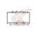 Radiateur, refroidissement du moteur 17002148 International Radiators, Vignette 2