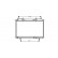 Radiateur, refroidissement du moteur 17002167 International Radiators