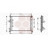 Radiateur, refroidissement du moteur 17002249 International Radiators, Vignette 2