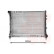 Radiateur, refroidissement du moteur 17002346 International Radiators, Vignette 2