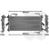 Radiateur, refroidissement du moteur 17002453 International Radiators