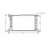 Radiateur, refroidissement du moteur 18002204 International Radiators