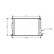 Radiateur, refroidissement du moteur 18002220 International Radiators