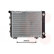 Radiateur, refroidissement du moteur 30002066 International Radiators, Vignette 2
