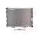 Radiateur, refroidissement du moteur 30002154 International Radiators, Vignette 2