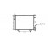 Radiateur, refroidissement du moteur 30002162 International Radiators