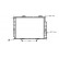 Radiateur, refroidissement du moteur 30002191 International Radiators