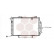 Radiateur, refroidissement du moteur 30002203 International Radiators, Vignette 2