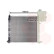 Radiateur, refroidissement du moteur 30002264 International Radiators, Vignette 2