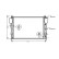 Radiateur, refroidissement du moteur 30002306 International Radiators