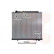 Radiateur, refroidissement du moteur 32002110 International Radiators, Vignette 2