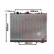 Radiateur, refroidissement du moteur 32002161 International Radiators, Vignette 2