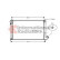 Radiateur, refroidissement du moteur 40002179 International Radiators, Vignette 2