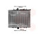 Radiateur, refroidissement du moteur 40002217 International Radiators, Vignette 2