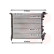 Radiateur, refroidissement du moteur 43002041 International Radiators, Vignette 2