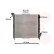 Radiateur, refroidissement du moteur 43002063 International Radiators, Vignette 2