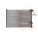 Radiateur, refroidissement du moteur 43002140 International Radiators, Vignette 2