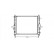 Radiateur, refroidissement du moteur 43002167 International Radiators