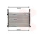 Radiateur, refroidissement du moteur 43002469 International Radiators, Vignette 2