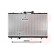 Radiateur, refroidissement du moteur 53002148 International Radiators, Vignette 2