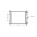 Radiateur, refroidissement du moteur 58002092 International Radiators