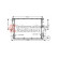 Radiateur, refroidissement du moteur 58002198 International Radiators, Vignette 2