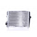 Radiateur, refroidissement du moteur 60362 Nissens, Vignette 2
