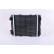 Radiateur, refroidissement du moteur 606641 Nissens, Vignette 3