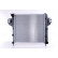 Radiateur, refroidissement du moteur 61017 Nissens, Vignette 3