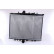 Radiateur, refroidissement du moteur 61295A Nissens, Vignette 3