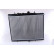 Radiateur, refroidissement du moteur 61295A Nissens, Vignette 4