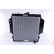 Radiateur, refroidissement du moteur 64184 Nissens, Vignette 2