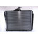 Radiateur, refroidissement du moteur 64778 Nissens, Vignette 5