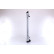 Radiateur, refroidissement du moteur 68744 Nissens, Vignette 5
