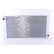 Radiateur, refroidissement du moteur 69705 Nissens, Vignette 3