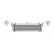 Radiateur, refroidissement du moteur 74002053 International Radiators