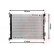 Radiateur, refroidissement du moteur 83002135 International Radiators, Vignette 2