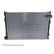 Radiateur, refroidissement du moteur ADG09839C Blue Print, Vignette 3