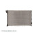 Radiateur, refroidissement du moteur ADG09841C Blue Print, Vignette 3