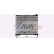 Radiateur, refroidissement du moteur AU2337 Ava Quality Cooling, Vignette 2