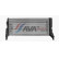 Radiateur, refroidissement du moteur BW2569 Ava Quality Cooling, Vignette 2