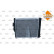 Radiateur, refroidissement du moteur EASY FIT, Vignette 4