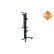 Radiateur, refroidissement du moteur EASY FIT, Vignette 6